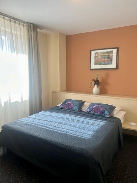 Hotel Pacific Temesvár Kültér fotó