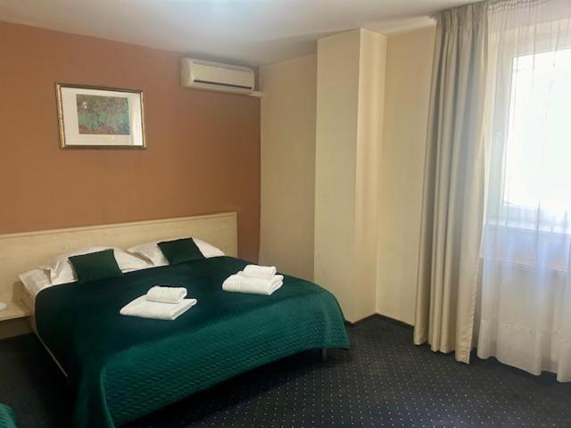Hotel Pacific Temesvár Kültér fotó